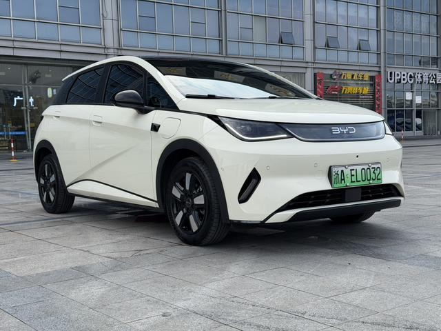 BYD Dolphin Smart Driving Edition, Fashion Edition 410KM 2025 - фото 2