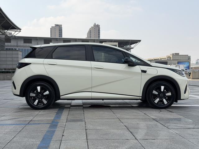 BYD Dolphin Smart Driving Edition, Fashion Edition 410KM 2025 - фото 3