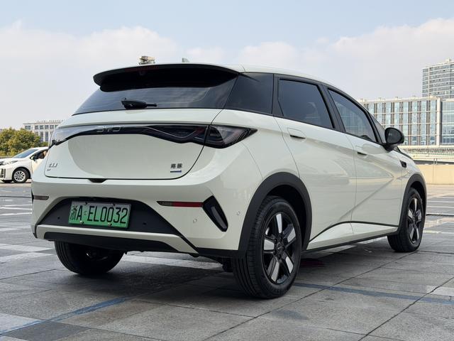 BYD Dolphin Smart Driving Edition, Fashion Edition 410KM 2025 - фото 4