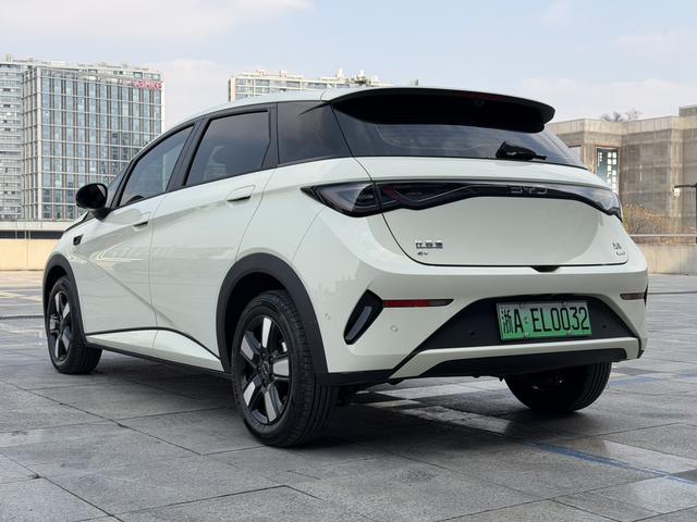 BYD Dolphin Smart Driving Edition, Fashion Edition 410KM 2025 - фото 5